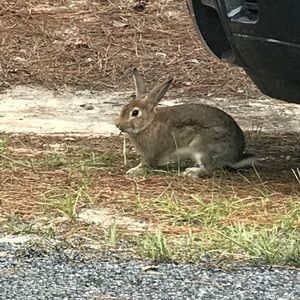 Meet your Posher, Gabriela